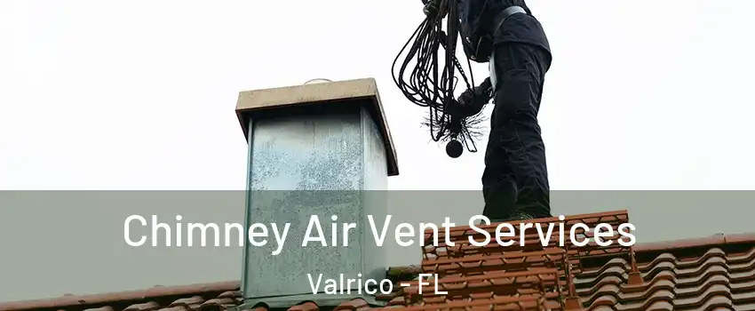  Chimney Air Vent Services Valrico - FL