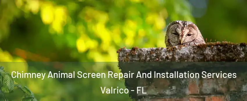  Chimney Animal Screen Repair And Installation Services Valrico - FL