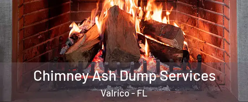  Chimney Ash Dump Services Valrico - FL