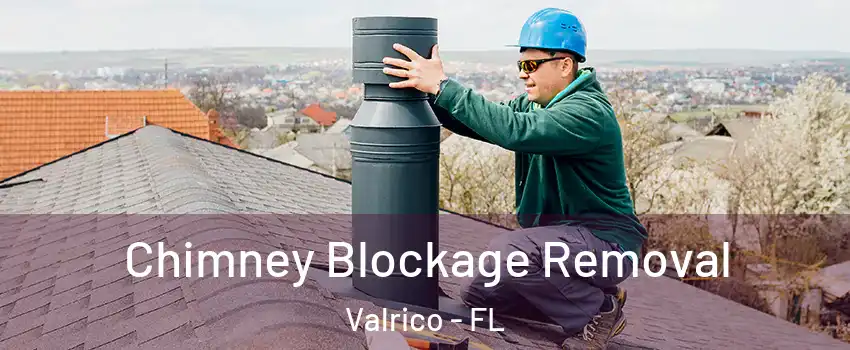  Chimney Blockage Removal Valrico - FL