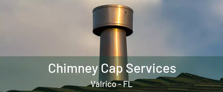  Chimney Cap Services Valrico - FL
