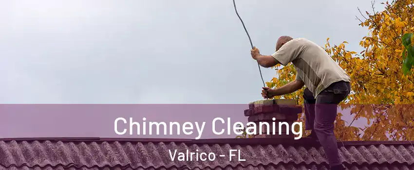  Chimney Cleaning Valrico - FL