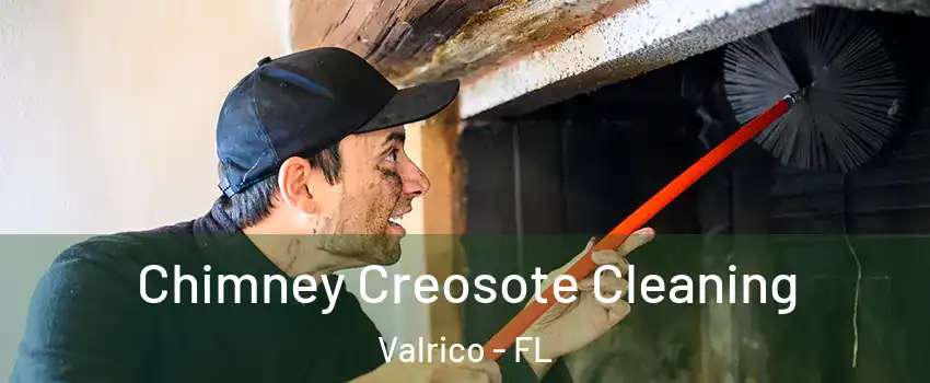  Chimney Creosote Cleaning Valrico - FL