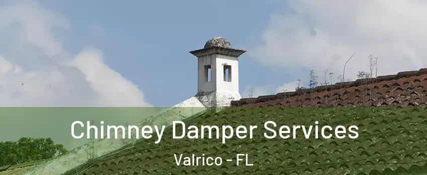  Chimney Damper Services Valrico - FL