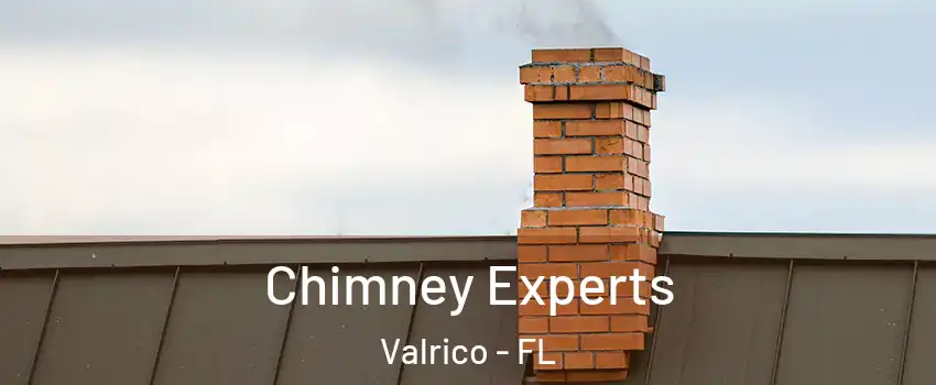 Chimney Experts Valrico - FL