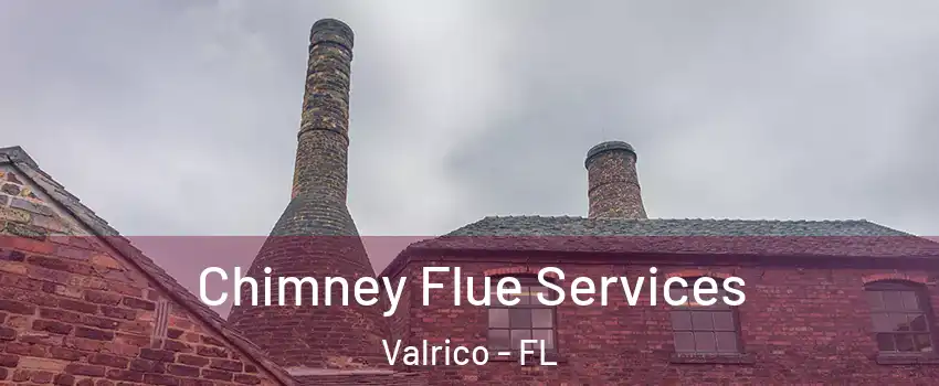  Chimney Flue Services Valrico - FL