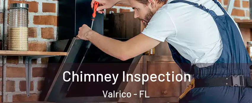  Chimney Inspection Valrico - FL