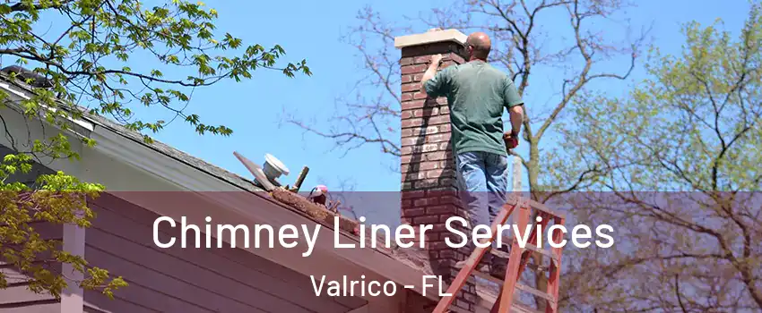 Chimney Liner Services Valrico - FL