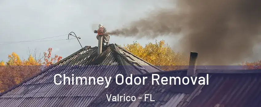  Chimney Odor Removal Valrico - FL