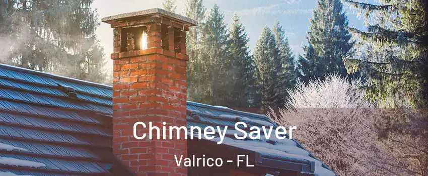  Chimney Saver Valrico - FL