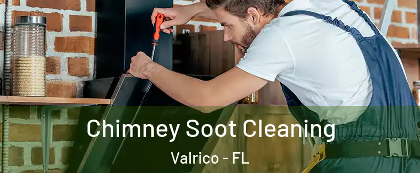  Chimney Soot Cleaning Valrico - FL