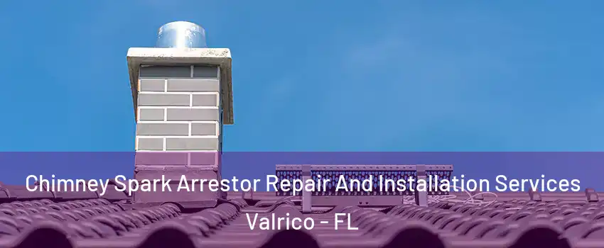  Chimney Spark Arrestor Repair And Installation Services Valrico - FL