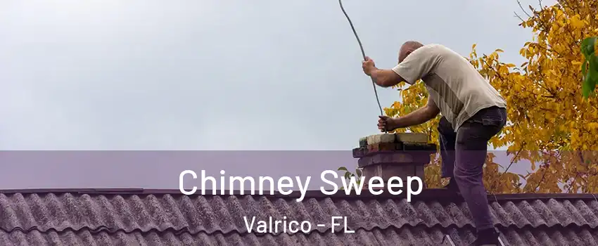  Chimney Sweep Valrico - FL