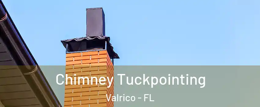 Chimney Tuckpointing Valrico - FL