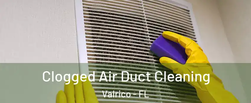  Clogged Air Duct Cleaning Valrico - FL