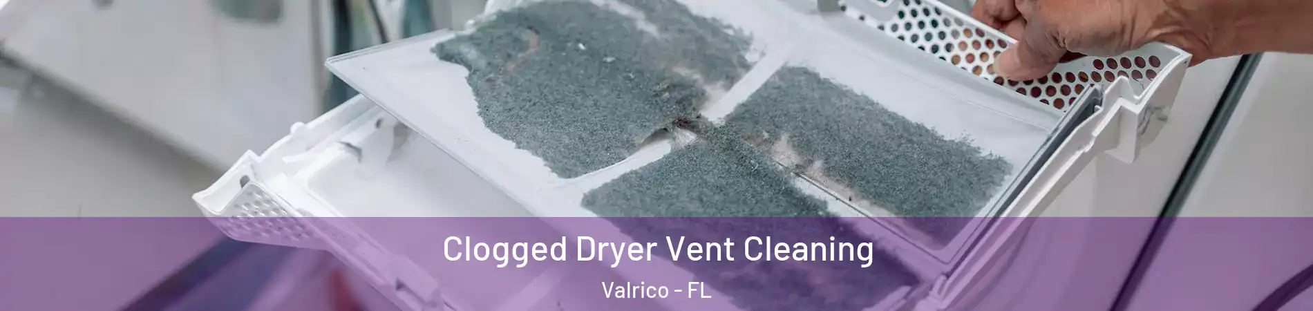  Clogged Dryer Vent Cleaning Valrico - FL
