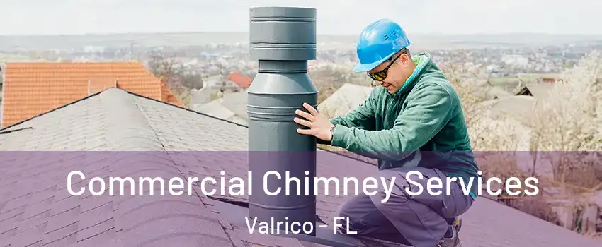  Commercial Chimney Services Valrico - FL
