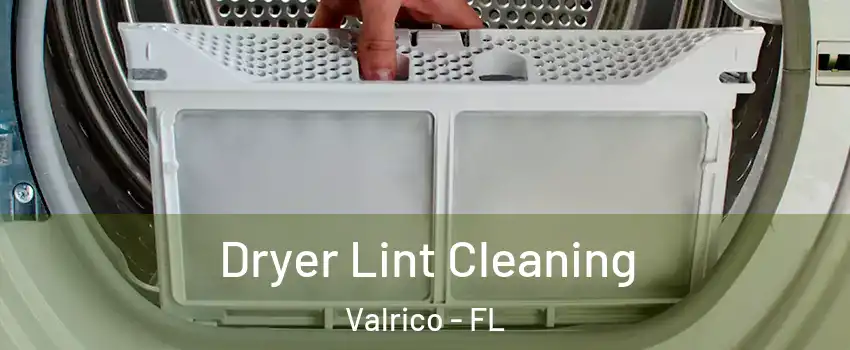  Dryer Lint Cleaning Valrico - FL