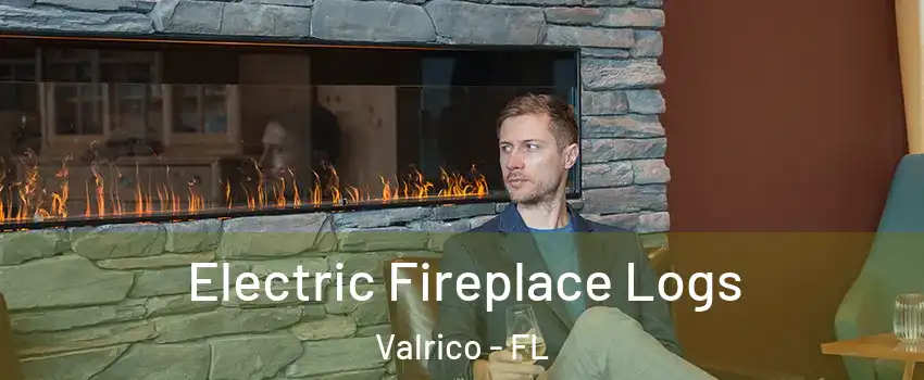  Electric Fireplace Logs Valrico - FL
