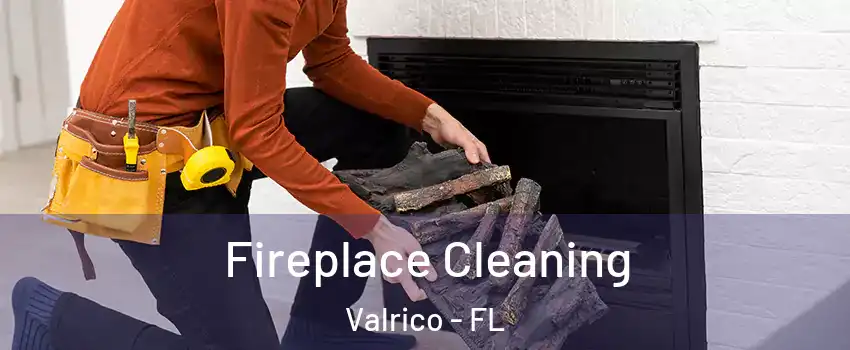  Fireplace Cleaning Valrico - FL
