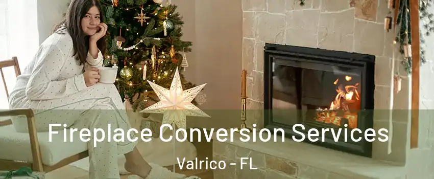  Fireplace Conversion Services Valrico - FL