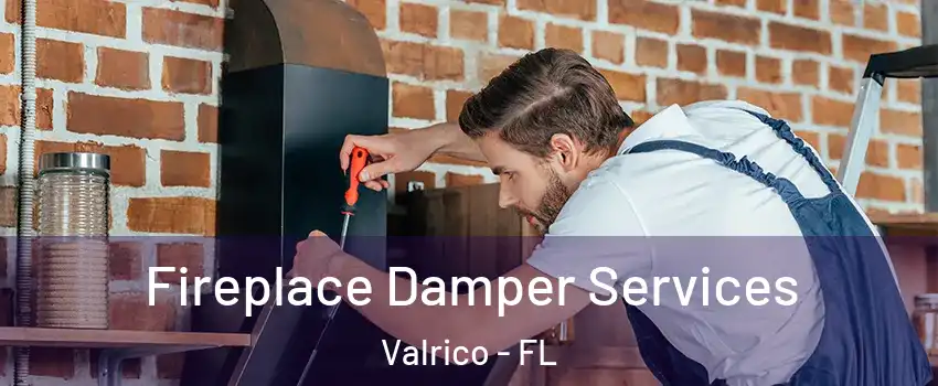  Fireplace Damper Services Valrico - FL