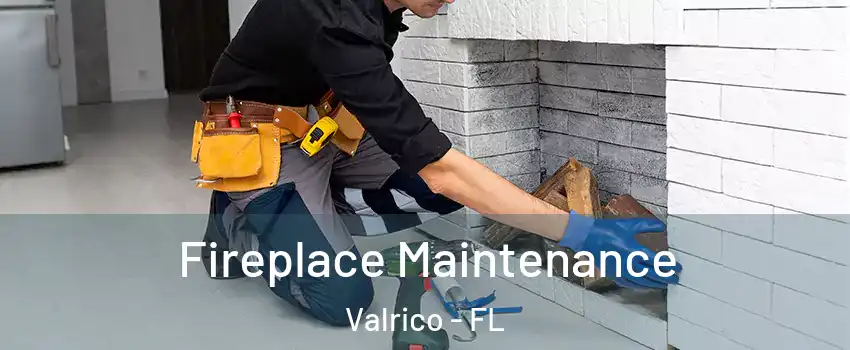  Fireplace Maintenance Valrico - FL