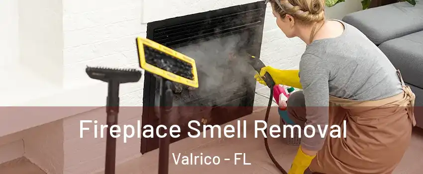  Fireplace Smell Removal Valrico - FL