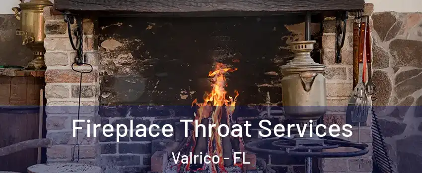  Fireplace Throat Services Valrico - FL
