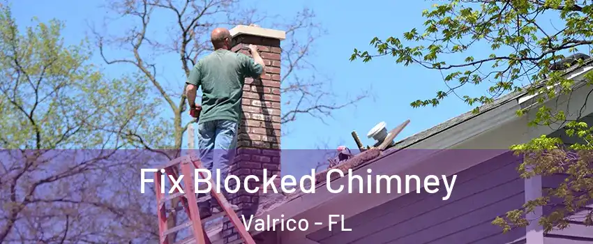  Fix Blocked Chimney Valrico - FL