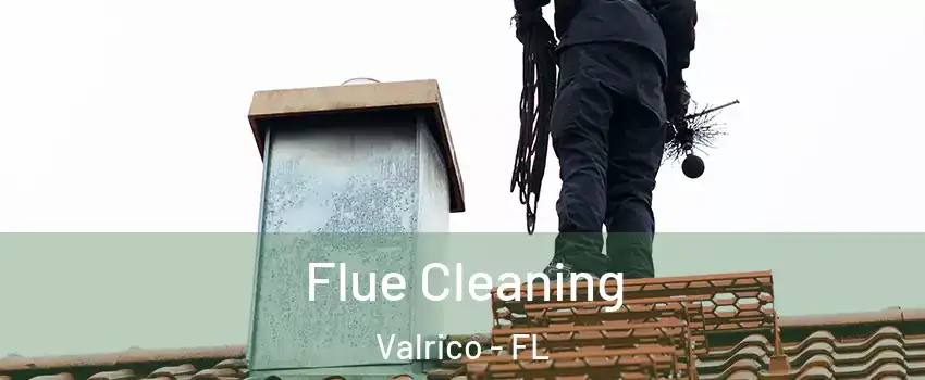  Flue Cleaning Valrico - FL