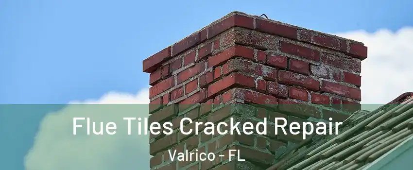  Flue Tiles Cracked Repair Valrico - FL