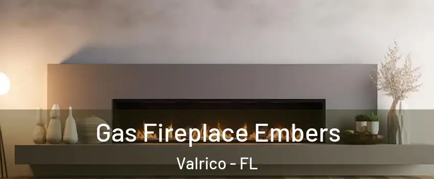  Gas Fireplace Embers Valrico - FL