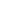 Professional Chimney Flue Installation in Valrico, Florida