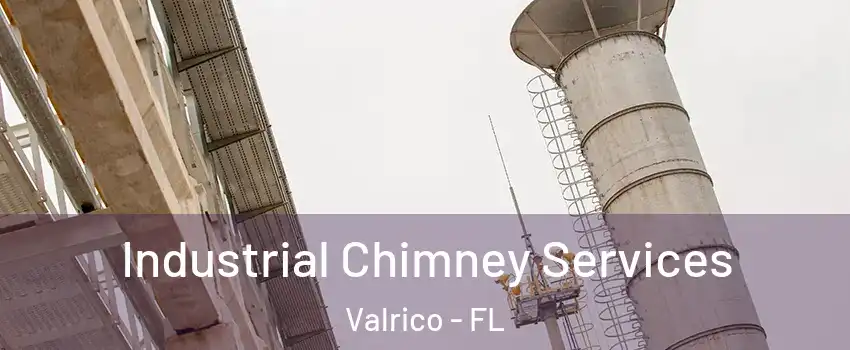 Industrial Chimney Services Valrico - FL