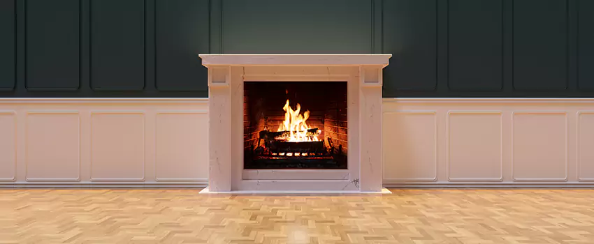 Napoleon Electric Fireplaces Inspection Service in Valrico, Florida
