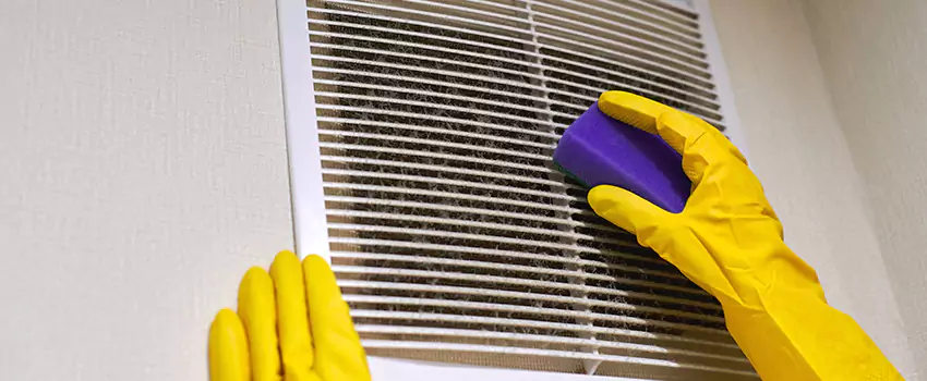 Vent Cleaning Company in Valrico, FL