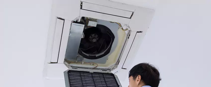 Benefits of Professional Air Duct Cleaning in Valrico, Florida