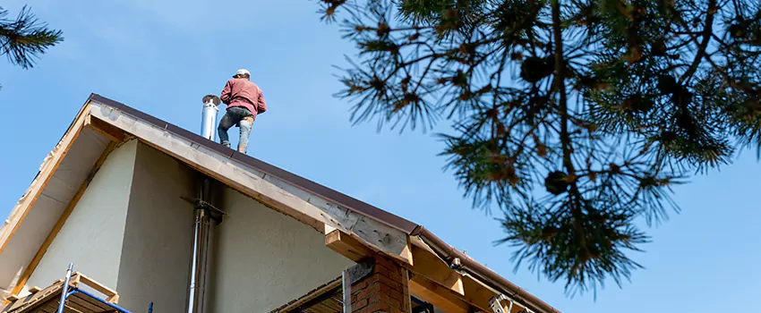 Birds Removal Contractors from Chimney in Valrico, FL