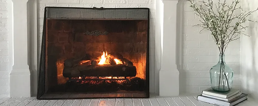 Cost-Effective Fireplace Mantel Inspection And Maintenance in Valrico, FL