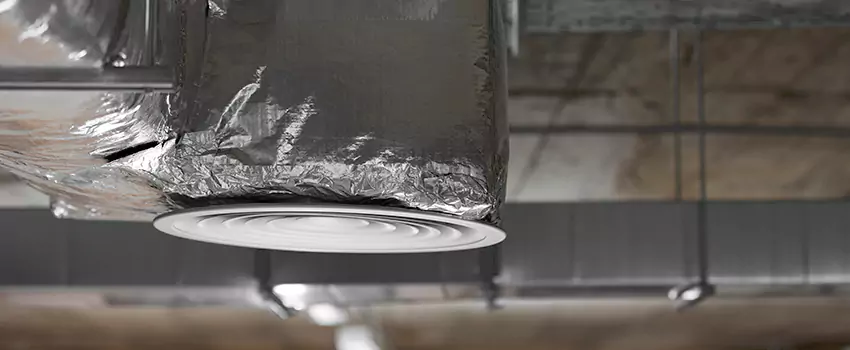 Signs of Dust Accumulation in Vents in Valrico, FL