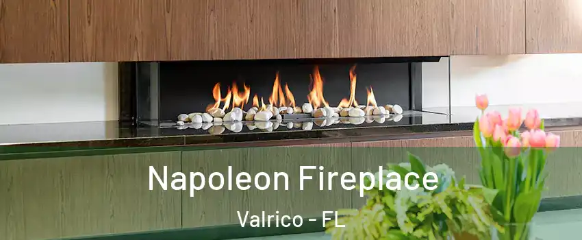  Napoleon Fireplace Valrico - FL