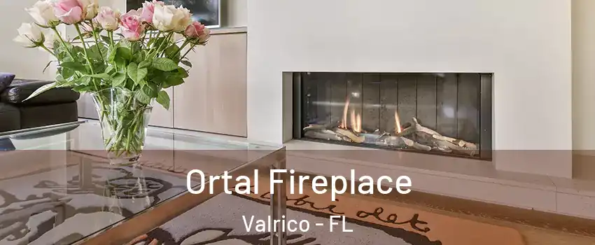  Ortal Fireplace Valrico - FL