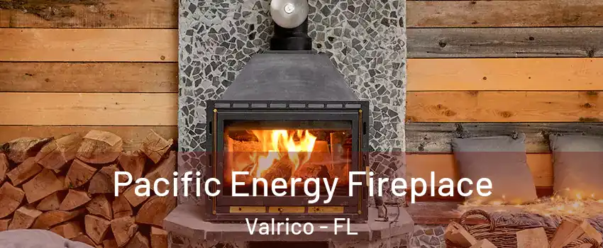  Pacific Energy Fireplace Valrico - FL
