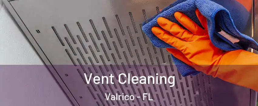  Vent Cleaning Valrico - FL