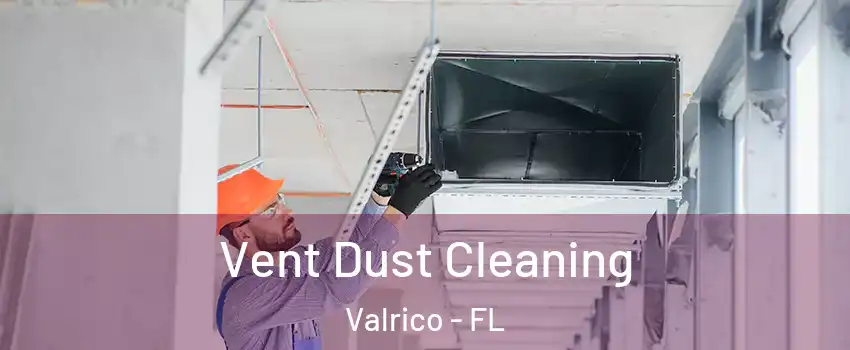  Vent Dust Cleaning Valrico - FL
