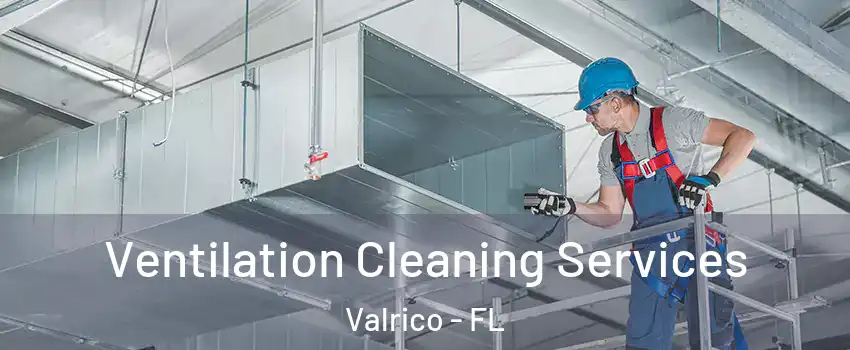  Ventilation Cleaning Services Valrico - FL
