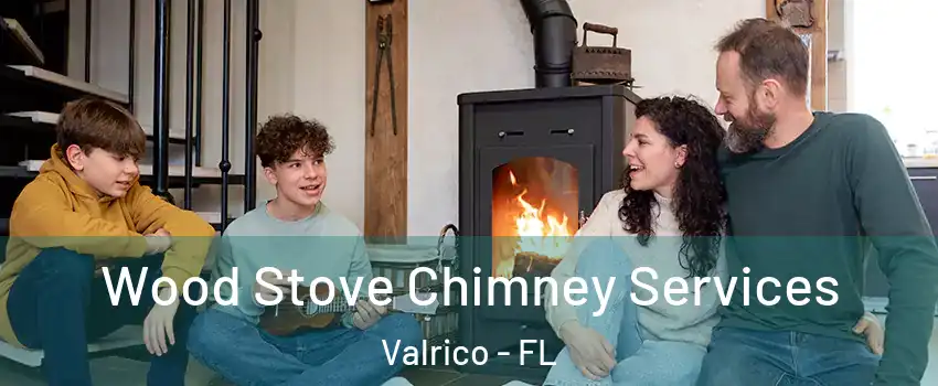  Wood Stove Chimney Services Valrico - FL